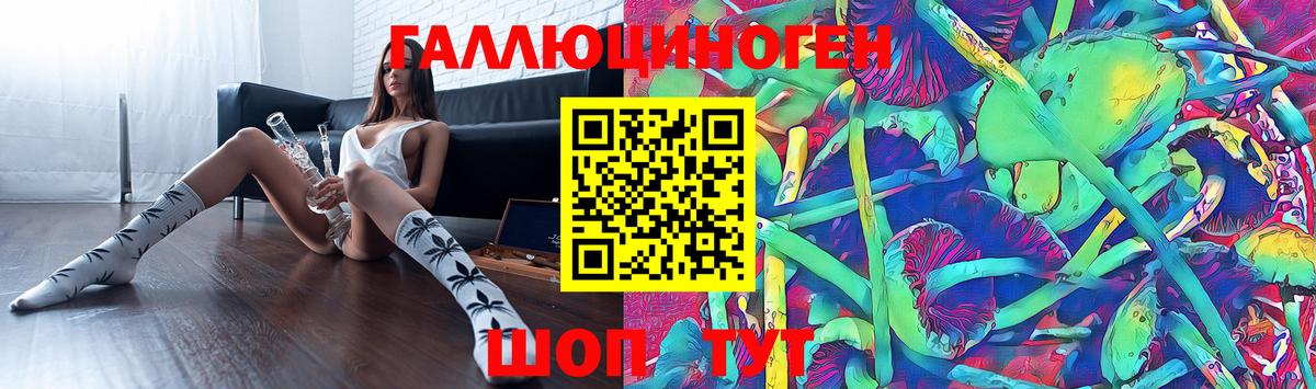 Барабинск  Псилоцибиновые грибы Psilocybe  Псилоцибиновые грибы прущие грибы  Вход с VPN 
